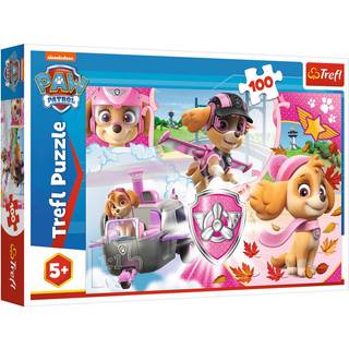 Paw Patrol - Skye - 100 brikker