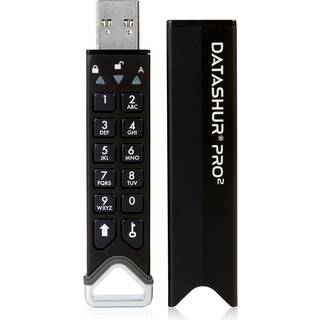 Istorage Datashur Pro2 256gb Usb Type-a Sort