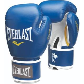 Leather Thai Striking Gloves - Blue