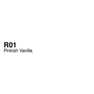 Copic Sketch R01 Pink. Vanilla