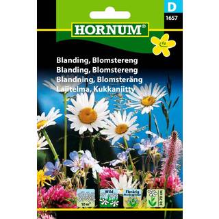 Blomstereng blomsterfrø - Flerårig frøblanding med ca. 35 arter
