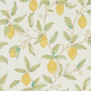 Lemon Tree Bay Leaf - 216672