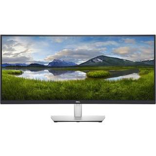 DELL 34 Curved USB-C Monitor | P3421W -