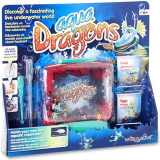 Aqua Dragons i akvarium
