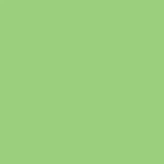 Winsor & Newton Promarker Apple (G338)