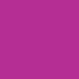Winsor & Newton Promarker Mulberry (V865)