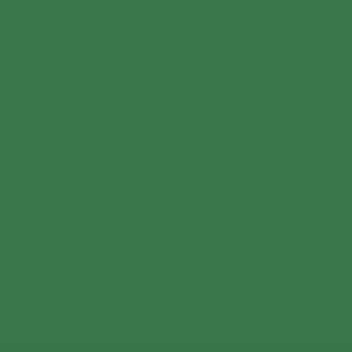 Winsor & Newton Promarker Pine (G635)