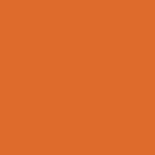 Winsor & Newton Promarker Spice (O346)