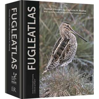 Fugleatlas