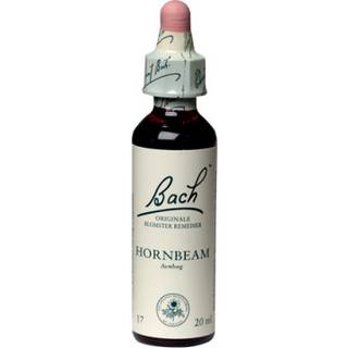 Bach Avnbøg - 10 ml