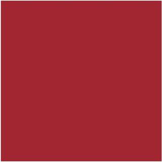 Winsor & Newton Promarker Brush Firebrick (R735)