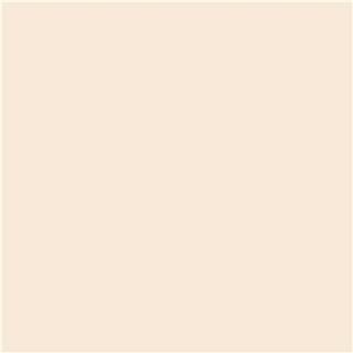 Winsor & Newton Promarker Brush Almond (O819)