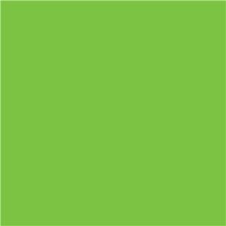 Winsor & Newton Promarker Brush Bright Green