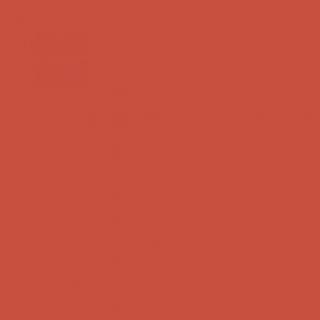 Winsor & Newton Promarker Brush Burnt Orange (r946)