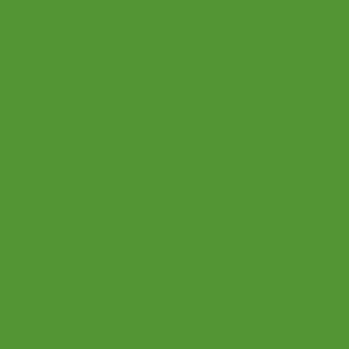 Winsor & Newton Promarker Brush Forest Green (G356)