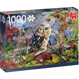 Owls in the Moonlight - 1000 brikker