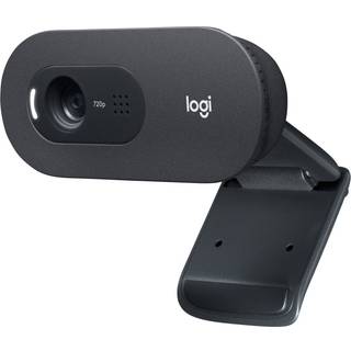 LOGITECH Logitech C505 HD Webcam LOG960001364