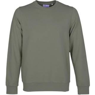 Colorful Standard Classic Organic Crew Neck Sweat Dusty Olive