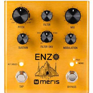 Meris Enzo Guitar-effektpedal