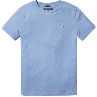 Tommy Hilfiger Tommy Hilfiger Blue Basic T-Shirt