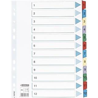 ESSELTE Register Esselte Mylar A4 1-12 flerfarve 100162