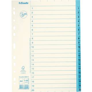 ESSELTE Register Jopa A4/1-20 69914