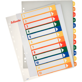 ESSELTE Register Projekt PP A4+ Printbar 1-12 hv 100214