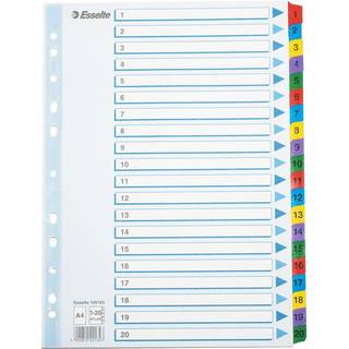 Esselte Register Mylar A4 1-20 flerfarve