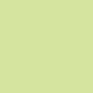Copic Sketch YG13 Chartreuse