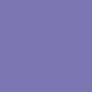 Copic Sketch FV2 Fluo D.Violet