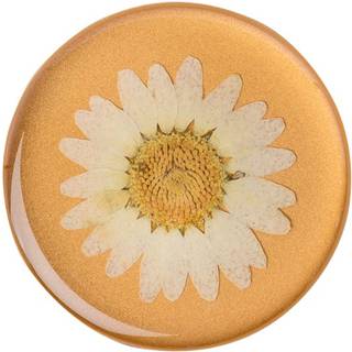 POPSOCKETS PopGrip - Pressed White Daisy - Premium Stander & Greb