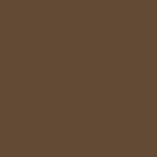 Copic Sketch E89 Pecan