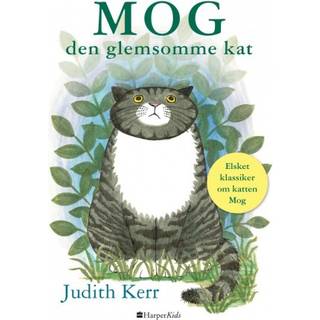 Mog den glemsomme kat