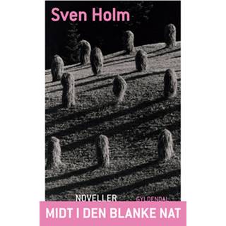 Midt i den blanke nat