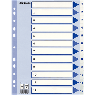 Esselte register A4 PP 1-12 hvid