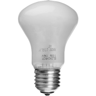 elinchrom 100W 196V E27