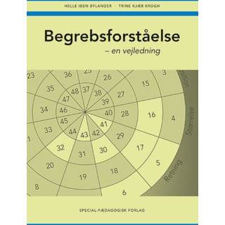 Begrebsforståelse, vejledning