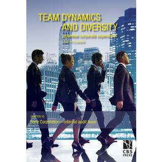 Sony Corporation internal audit team