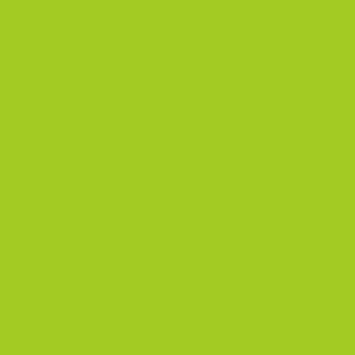 Copic Sketch FYG2 Fluo Yell/Gr