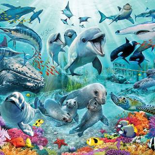 Under havet / Under the Sea tapet 243 x 305 cm