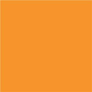 Winsor & Newton Promarker Amber (O567)