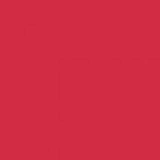 Winsor & Newton Promarker Berry Red (R665)