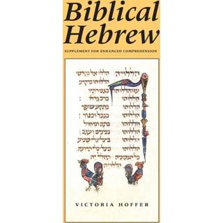 Biblical Hebrew, Second Ed. (Supplement for Advanced Comprehension)