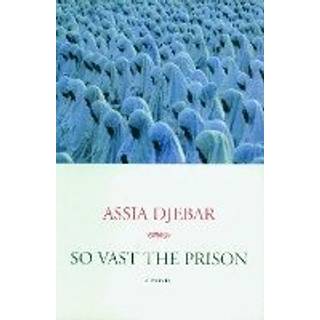 So Vast The Prison