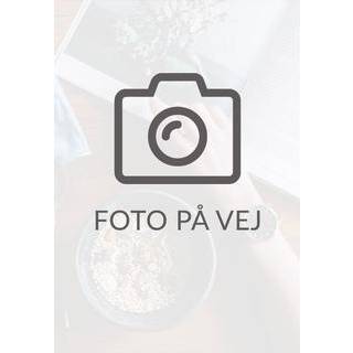 Ledelse af daginstitutioner