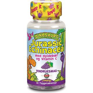KAL DinoSaurs Echinacea tygge børn - 30 tabs.