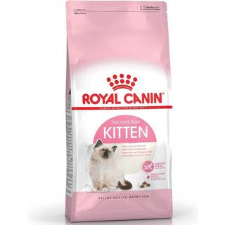 Kitten - 10 kg