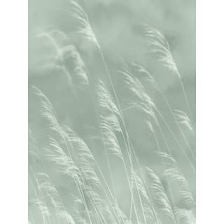 Waterfront - 300901