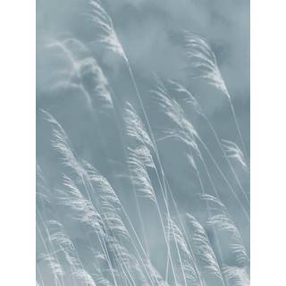 Waterfront - 300902
