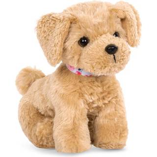 Our generation Goldendoodle hvalp